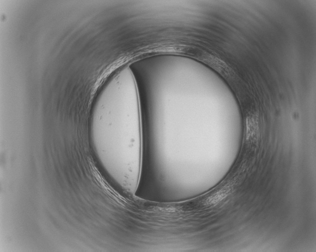 X0000058820349200509300921