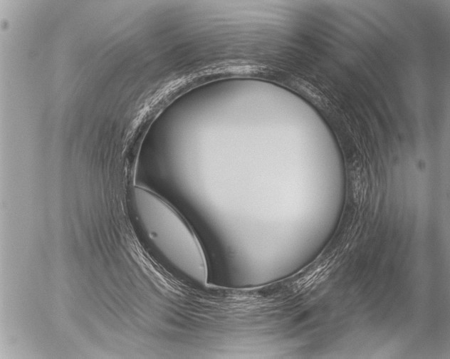 X0000058820350200509300921