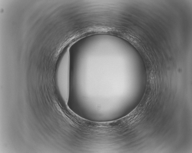 X0000058820352200509300921