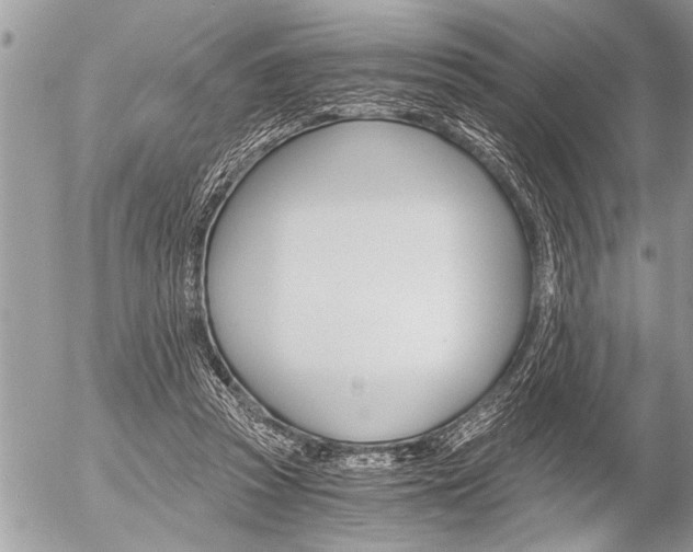 X0000058820353200509300921