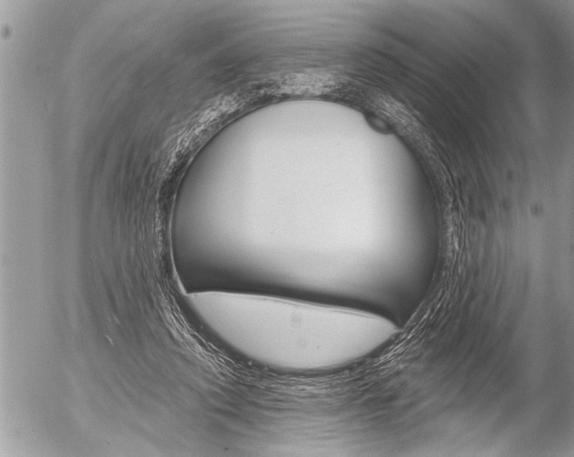 X0000058820354200509300921