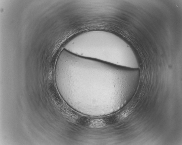 X0000058820355200509300921