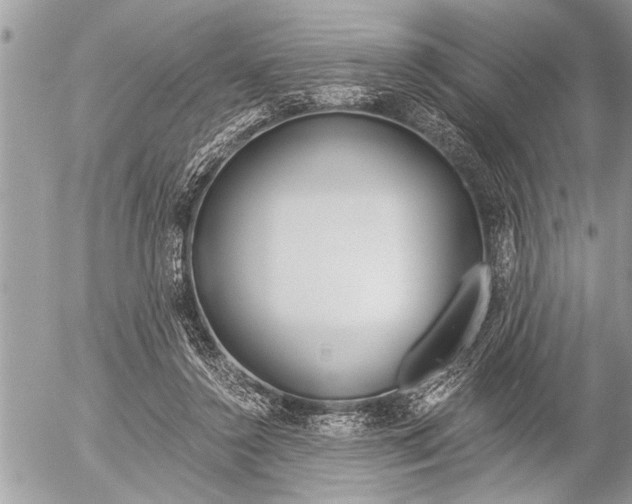 X0000058820356200509300921