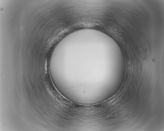 X0000058820358200509300921