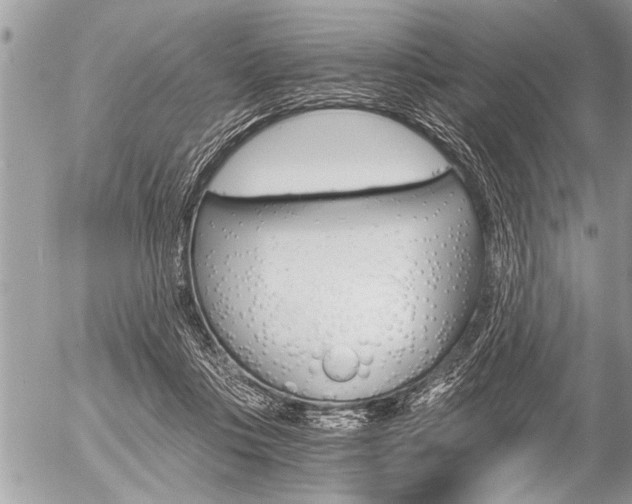 X0000058820359200509300921