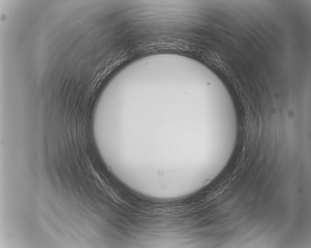 X0000058820360200509300921