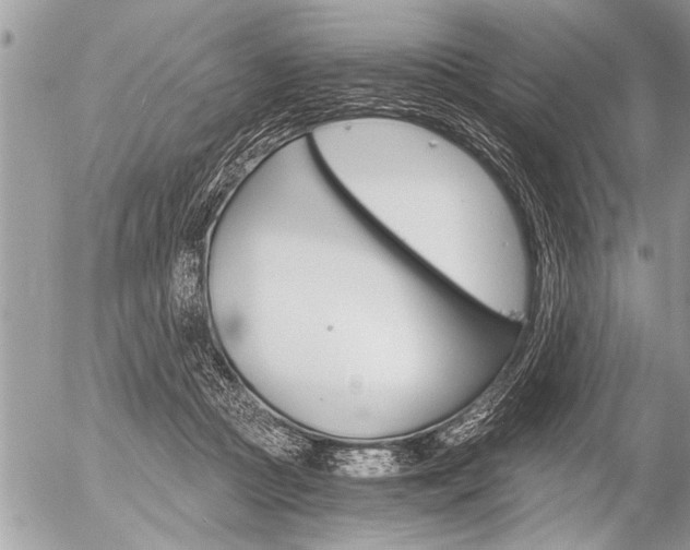 X0000058820361200509300921