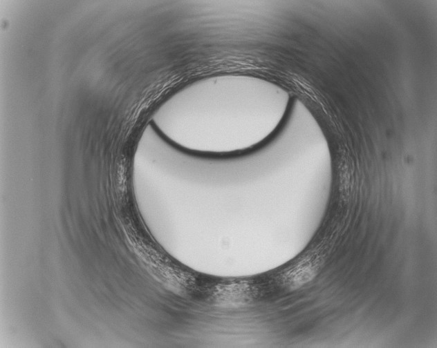 X0000058820362200509300921