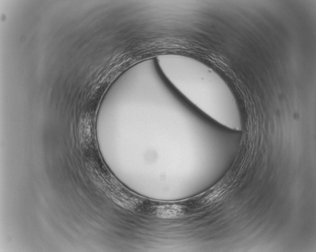 X0000058820363200509300921