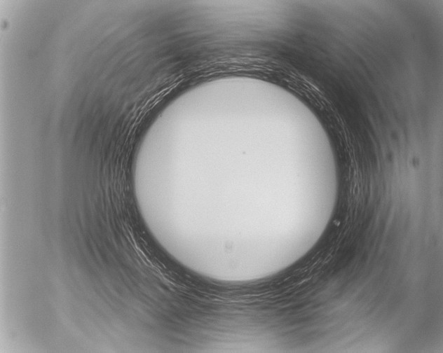 X0000058820364200509300921