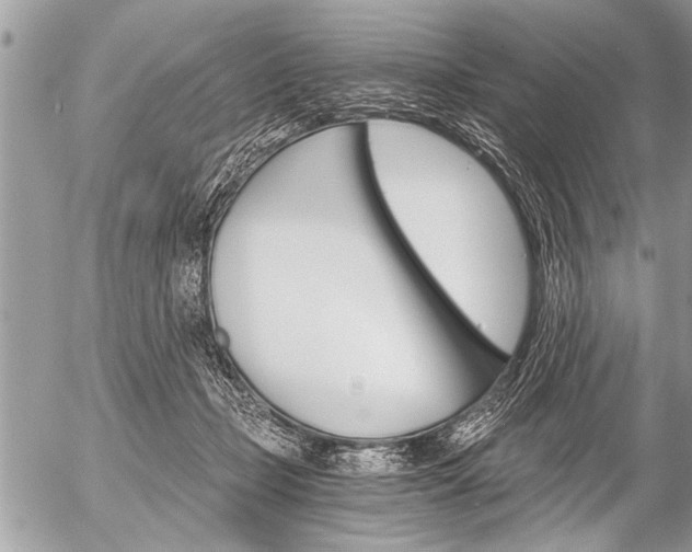 X0000058820365200509300921