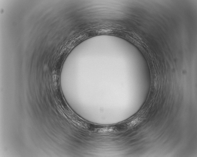 X0000058820366200509300921