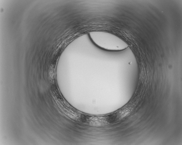 X0000058820367200509300921