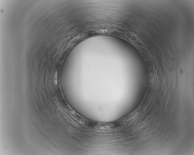 X0000058820368200509300921