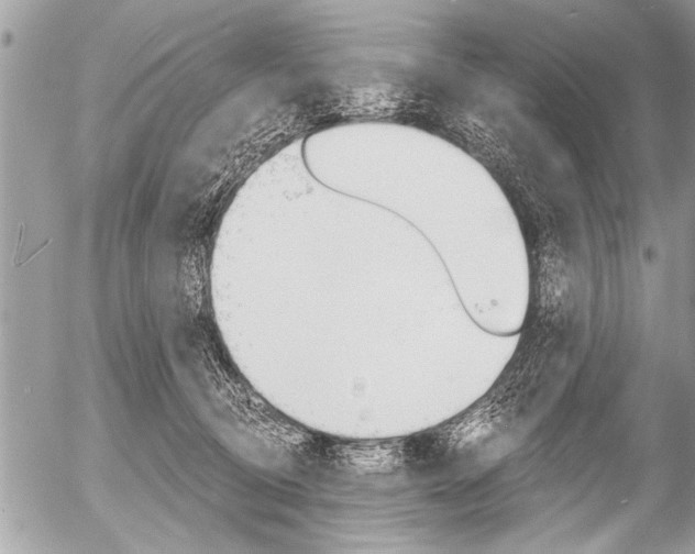 X0000058820370200509300921