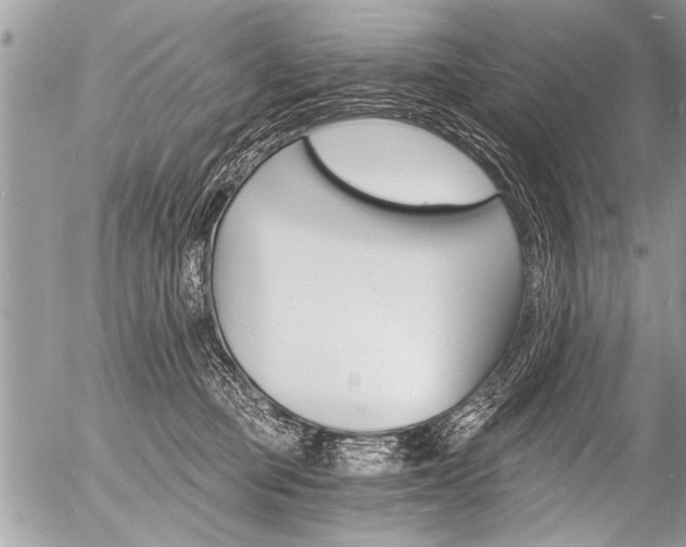 X0000058820373200509300921