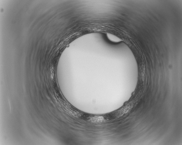 X0000058820374200509300921