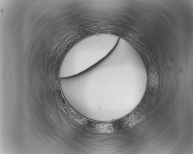 X0000058820375200509300921