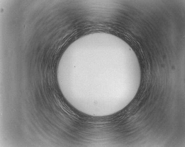 X0000058820376200509300921