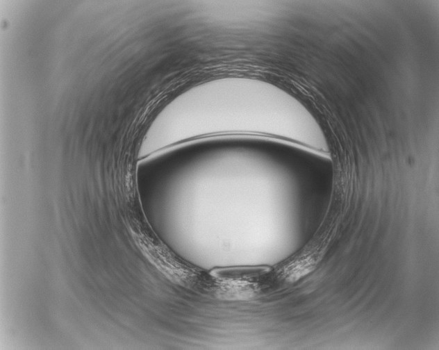 X0000058820380200509300922