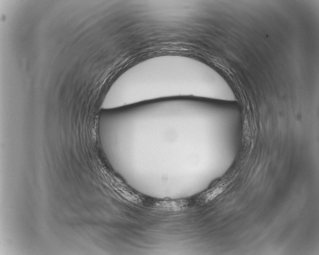 X0000058820381200509300922