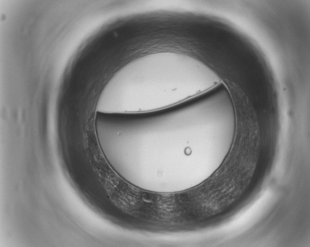 X0000058820382200509300922