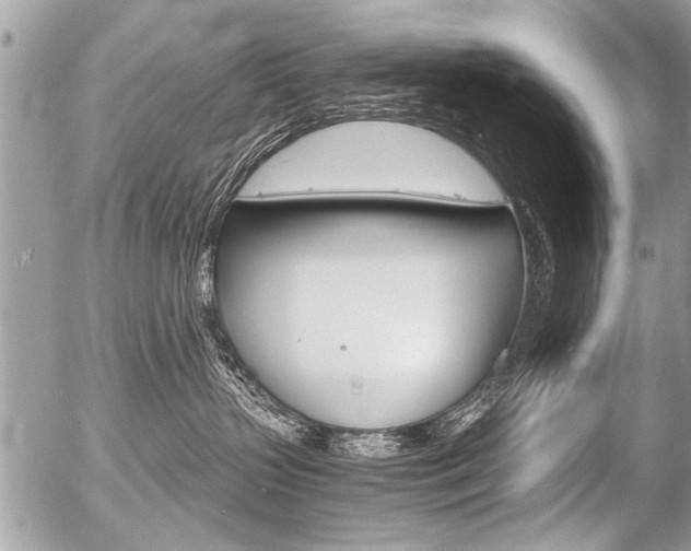 X0000058820383200509300922