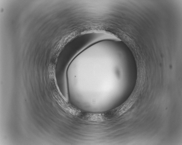 X0000058820384200509300922