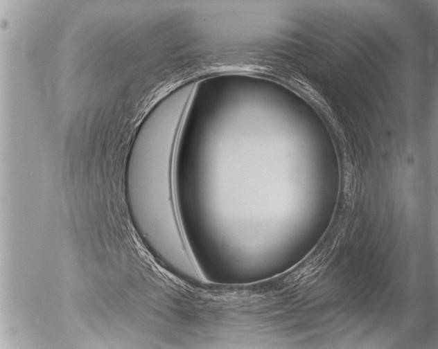 X0000058820385200509300921