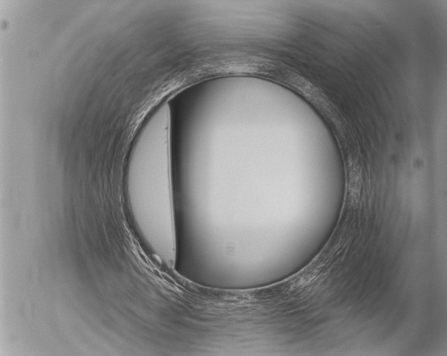 X0000058820386200509300921