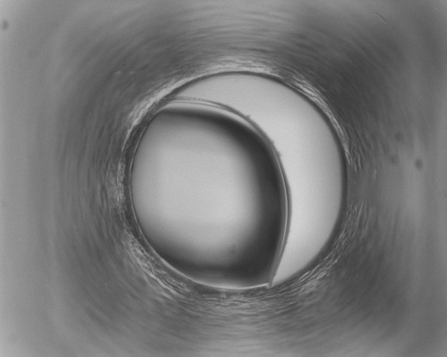 X0000058820387200509300921