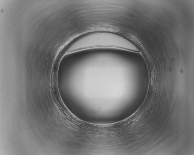 X0000058820388200509300921