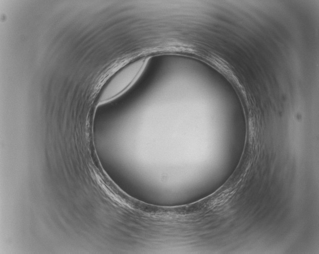 X0000058820389200509300921