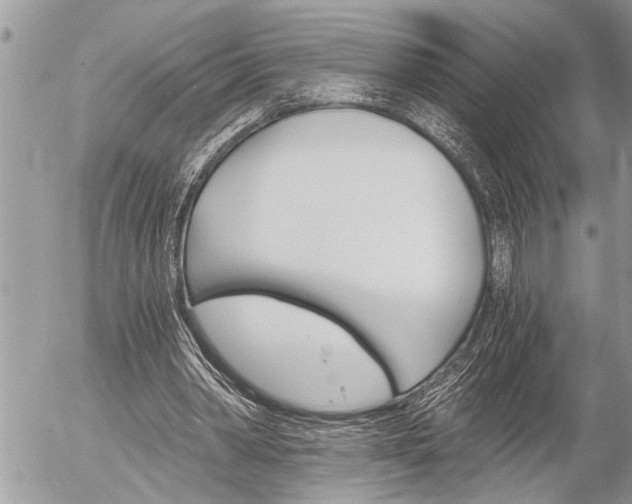 X0000058820390200509300921