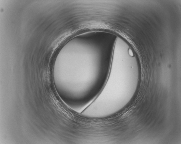 X0000058820391200509300921