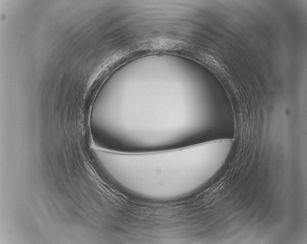 X0000058820392200509300921