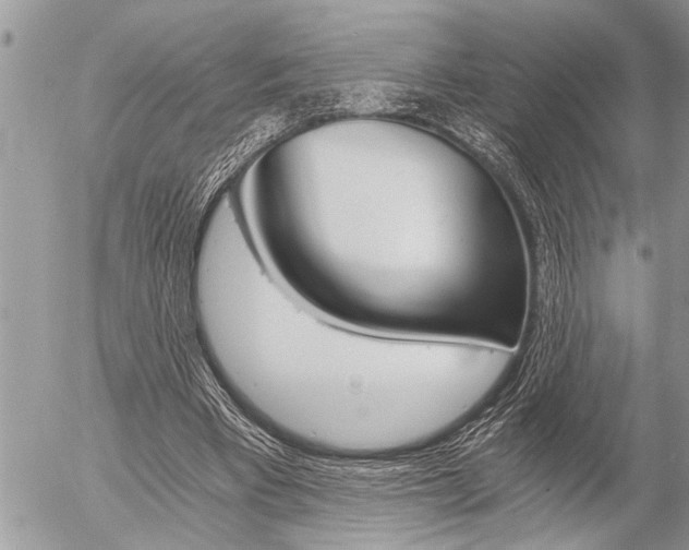 X0000058820393200509300921