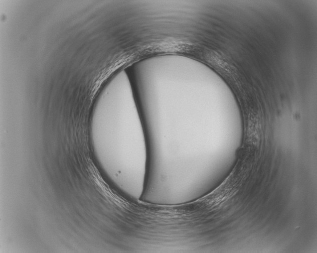 X0000058820394200509300921