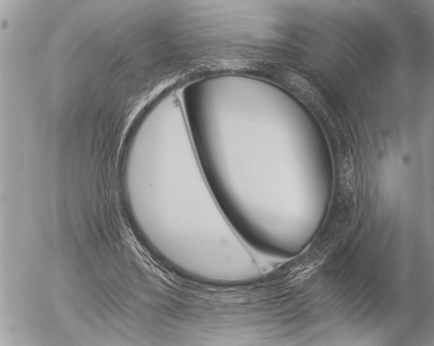 X0000058820395200509300921