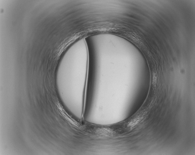 X0000058820397200509300921