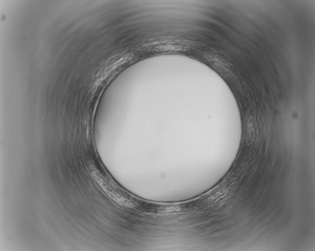 X0000058820398200509300921