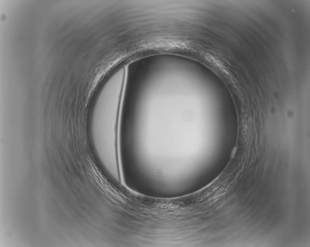 X0000058820399200509300921