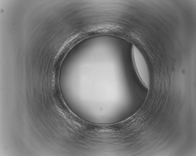 X0000058820400200509300921