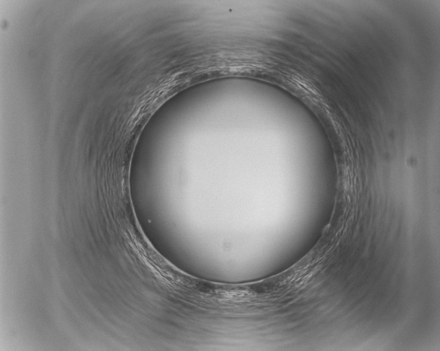 X0000058820401200509300921