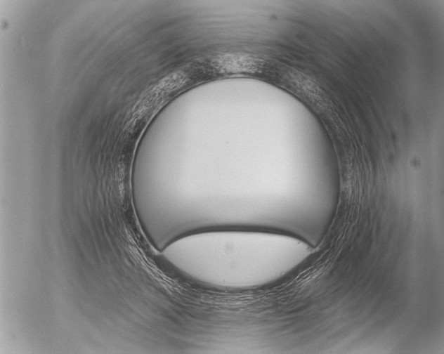 X0000058820402200509300921