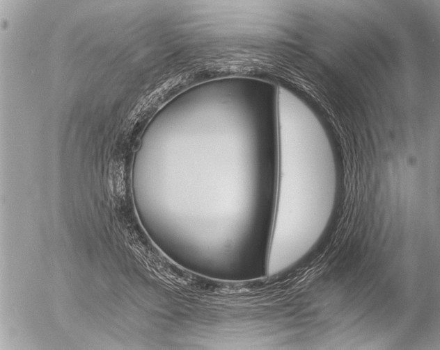 X0000058820403200509300921