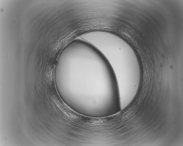 X0000058820405200509300920