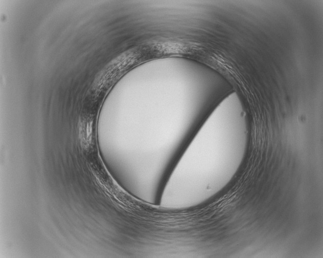 X0000058820406200509300920