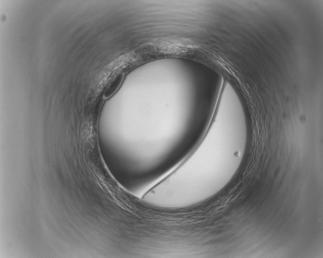 X0000058820407200509300920