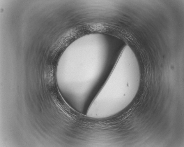 X0000058820408200509300920